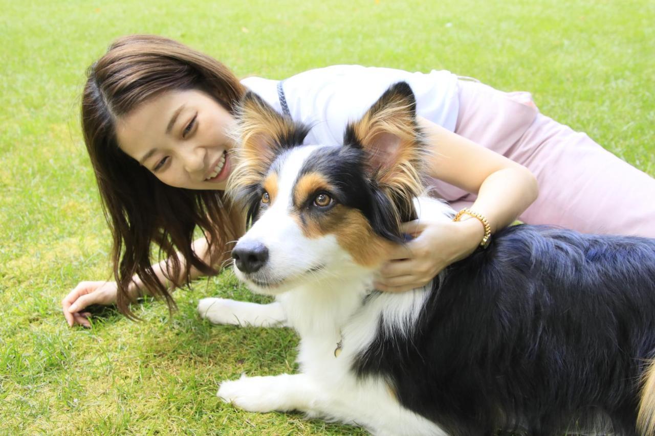 Yutorelo Tateshina Hotel With Dogs Chino Esterno foto